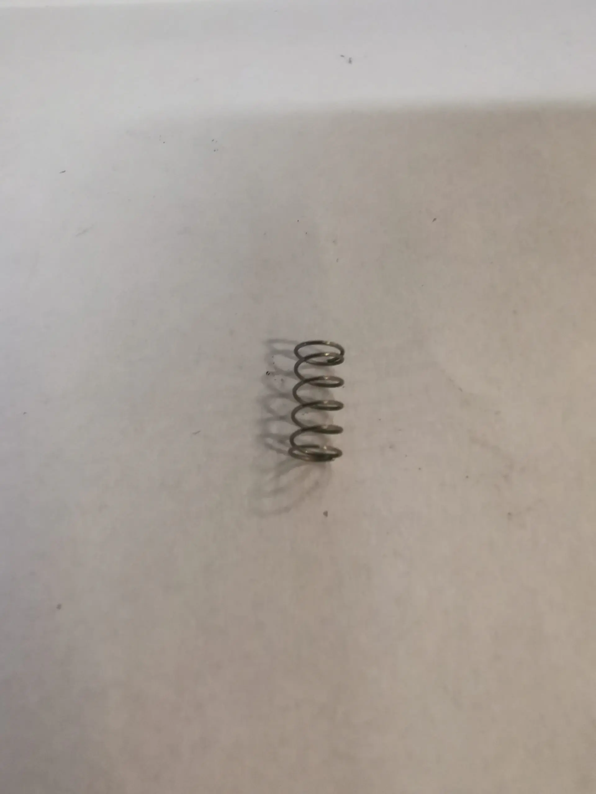 C6600960-scaled-1.webp C6600960 - Whistle Spring x 1 - Image 1