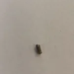 D20360- Regulator Spring x 1